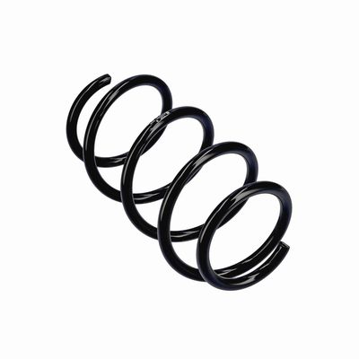 ARC SPIRAL EIBACH R20284 11