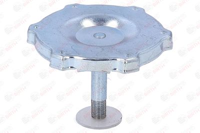 BUSON UMPLERE ULEI BIRTH 8081 9