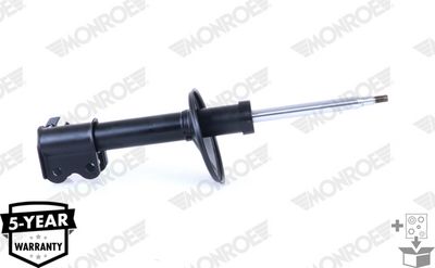 Shock Absorber G16251