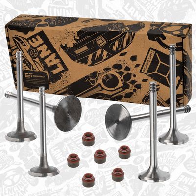 SET SUPAPE SUPAPă ADMISIE/EVACUARE