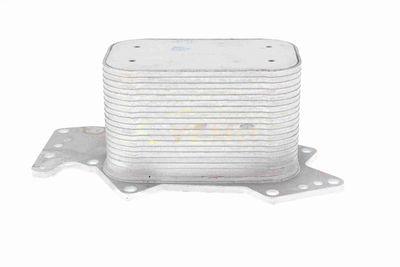 RADIATOR ULEI ULEI MOTOR VEMO V15606069 1