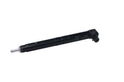 INJECTOR REMANTE 002003000134R 6