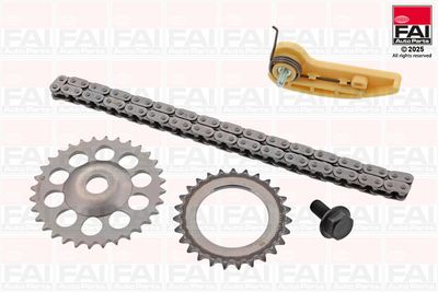 Řetěz, pohon olejového čerpadla FAI AutoParts OPCK39