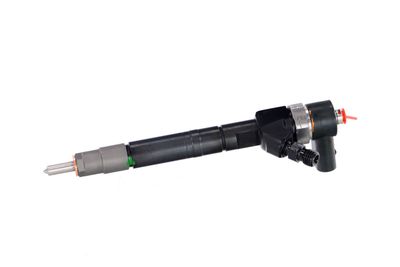 INJECTOR REMANTE 002003001146R 10