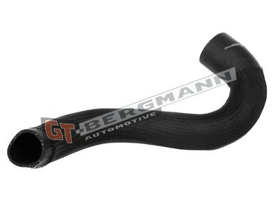 GT-BERGMANN Automotive - Hadica plniaceho vzduchu (hadica turba) AUDI , GT52-451