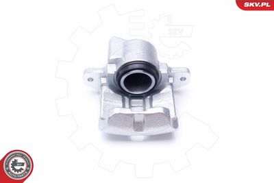 Brake Caliper 42SKV631