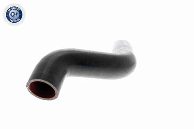 FURTUN EAR SUPRAALIMENTARE VAICO V460743 8