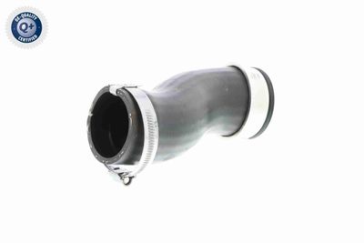 LADELUFTSCHLAUCH VAICO V102836 8