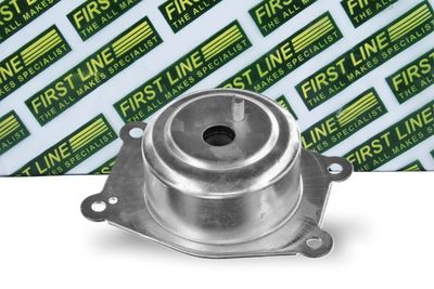 окачване, двигател FIRST LINE FEM4332