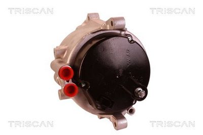 Alternator TRISCAN 831017004