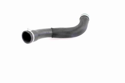 FURTUN EAR SUPRAALIMENTARE