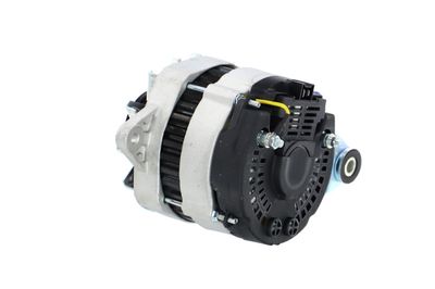 GENERATOR / ALTERNATOR REMANTE 011003000081R 22