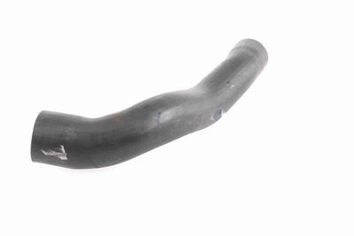 FURTUN EAR SUPRAALIMENTARE ACKOJA A379600 4