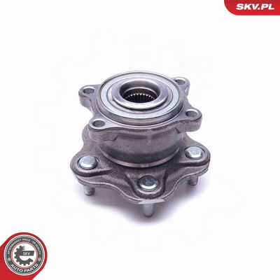 SET RULMENT ROATA ESEN SKV 29SKV253 1