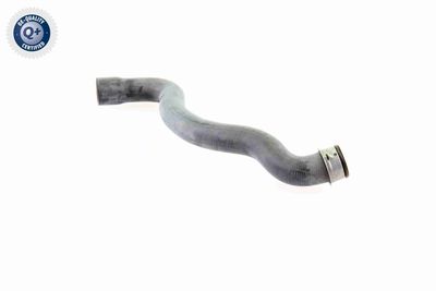 KüHLERSCHLAUCH VAICO V301655 6