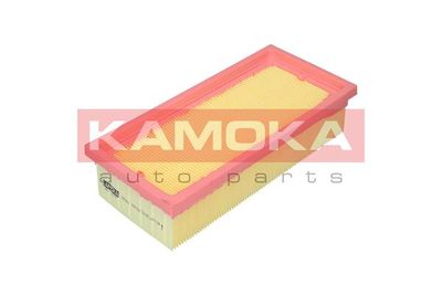 Air Filter F251601