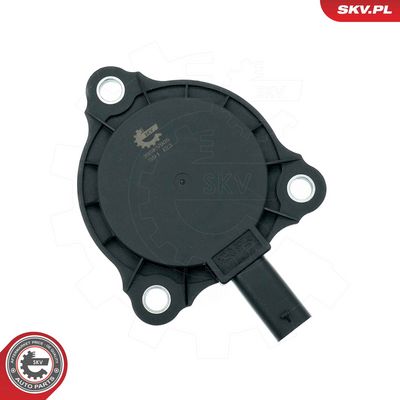 ESEN SKV - Centrálny magnet pre nastavovanie vačkového hriadeľa MERCEDES-BENZ, MITSUBISHI, NISSAN, RENAULT, … , 39SKV905