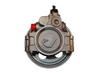 Hydraulische pomp, stuurbekrachtiging (gereviseerd)