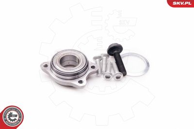 Wheel Bearing Kit 29SKV029