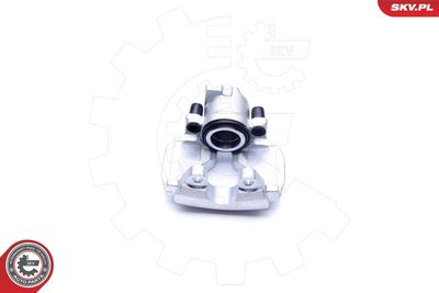 Brake Caliper 45SKV311