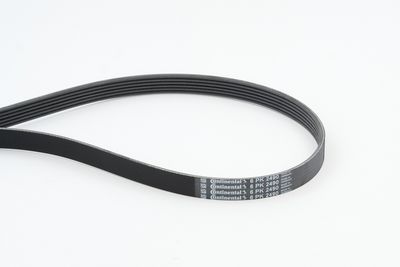 CONTINENTAL CTAM Keilrippenriemen