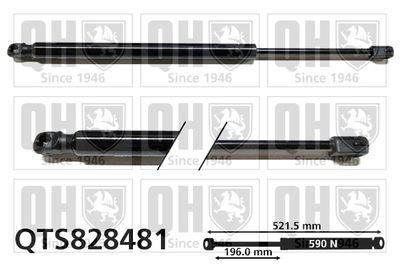 Газовая пружина, крышка багажник QUINTON HAZELL QTS828481 для SKODA RAPID