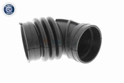 ANSAUGSCHLAUCH LUFTFILTER VAICO V201637 1