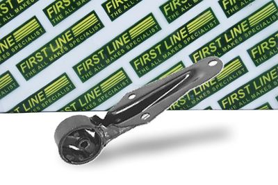 окачване, двигател FIRST LINE FEM3010