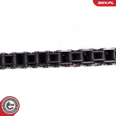 Timing Chain Kit 21SKV258