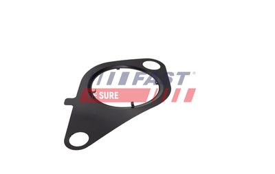 GARNITURA VENTIL AGR FAST FT13434 1