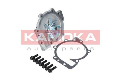 Water Pump, engine cooling T0137