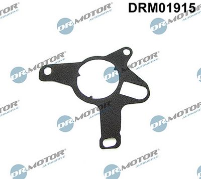 Těsnění, vakuové čerpadlo LIZARTE DRM01915