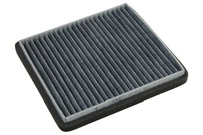 Kavo Parts Filtras, salono oras