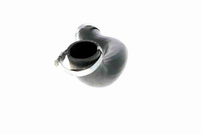 FURTUN EAR SUPRAALIMENTARE VAICO V950411 3