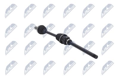 PLANETARA NTY NPWCT081 30