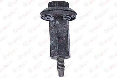 LIMITATOR ACOPERIRE MOTOR BIRTH 80969 5