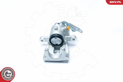 Brake Caliper 23SKV283