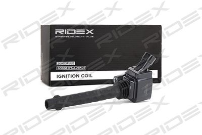Катушка зажигания RIDEX 689C0220 для ABARTH PUNTO