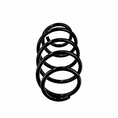 ARC SPIRAL EIBACH R10569 1