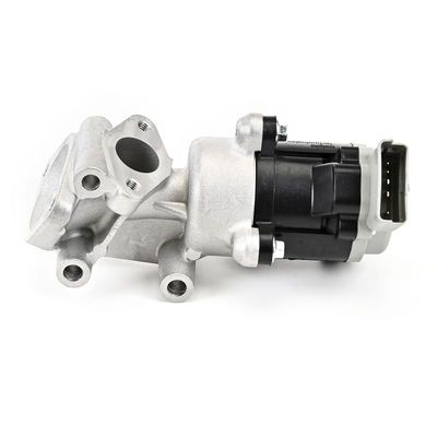 AGR-VENTIL DELPHI EG1063512B1 13