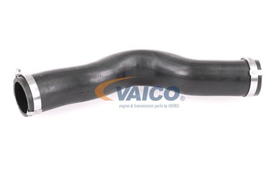 FURTUN EAR SUPRAALIMENTARE VAICO V401448 11