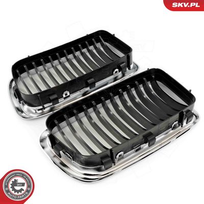 GRILA RADIATOR ESEN SKV 66SKV215 4