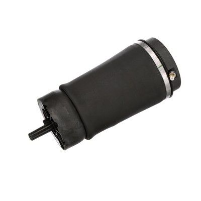 LUFTFEDER FAHRWERK Arnott A2831 74