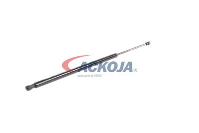 AMORTIZOR PORTBAGAJ ACKOJA A380134 55