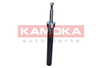 Shock Absorber 2001071