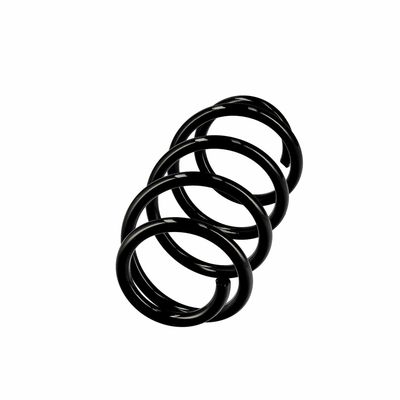 ARC SPIRAL EIBACH R10582 2