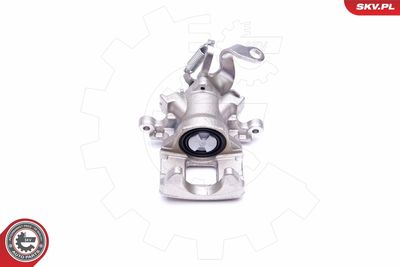 Brake Caliper 50SKV104