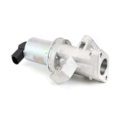 AGR-VENTIL DELPHI EG1061812B1 3