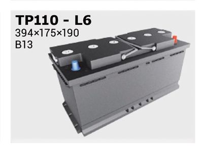 IPSA TP110 Аккумулятор  для AUDI A8 (Ауди А8)