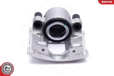 Brake Caliper 56SKV261